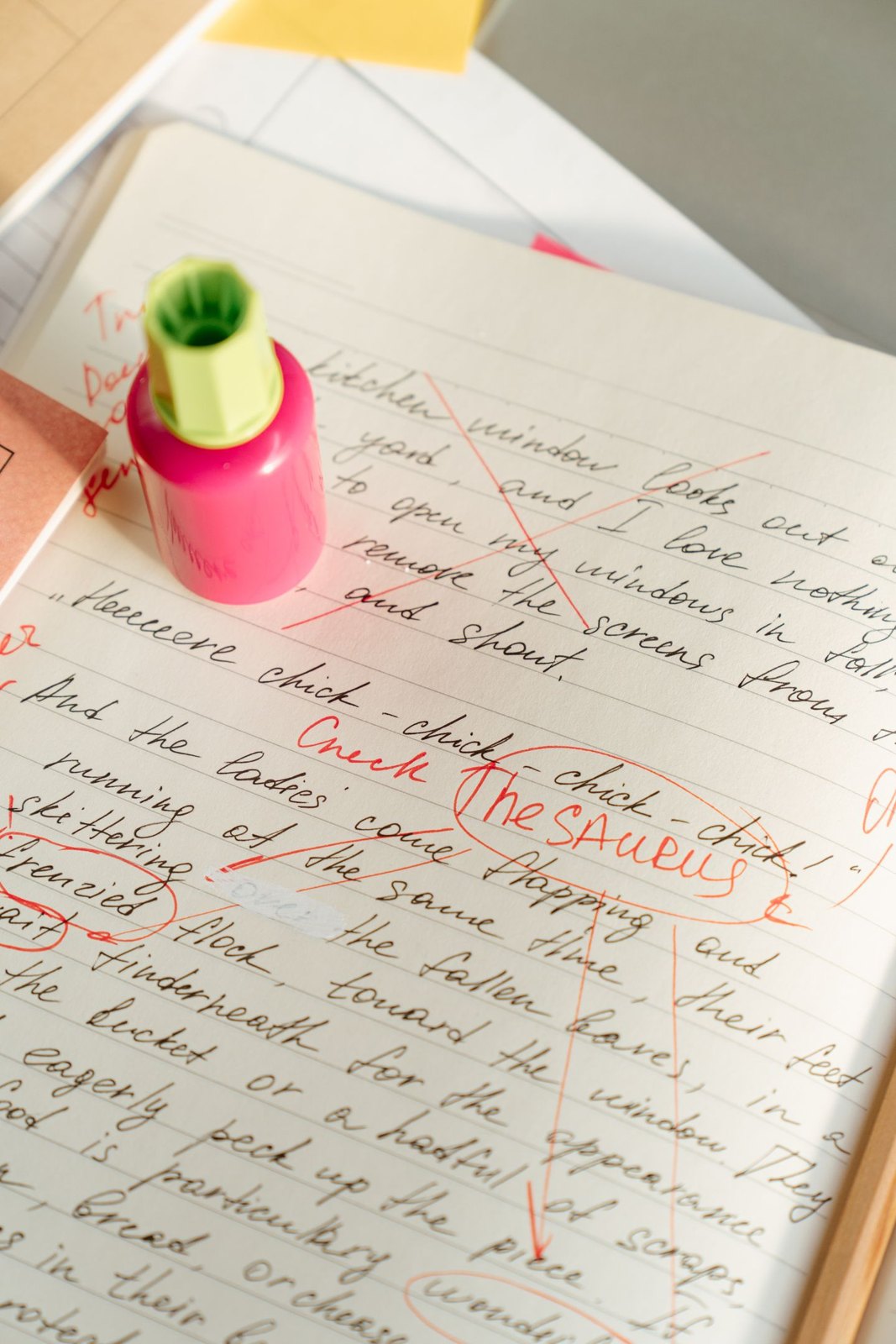 Handwritten draft with words crossed out in red