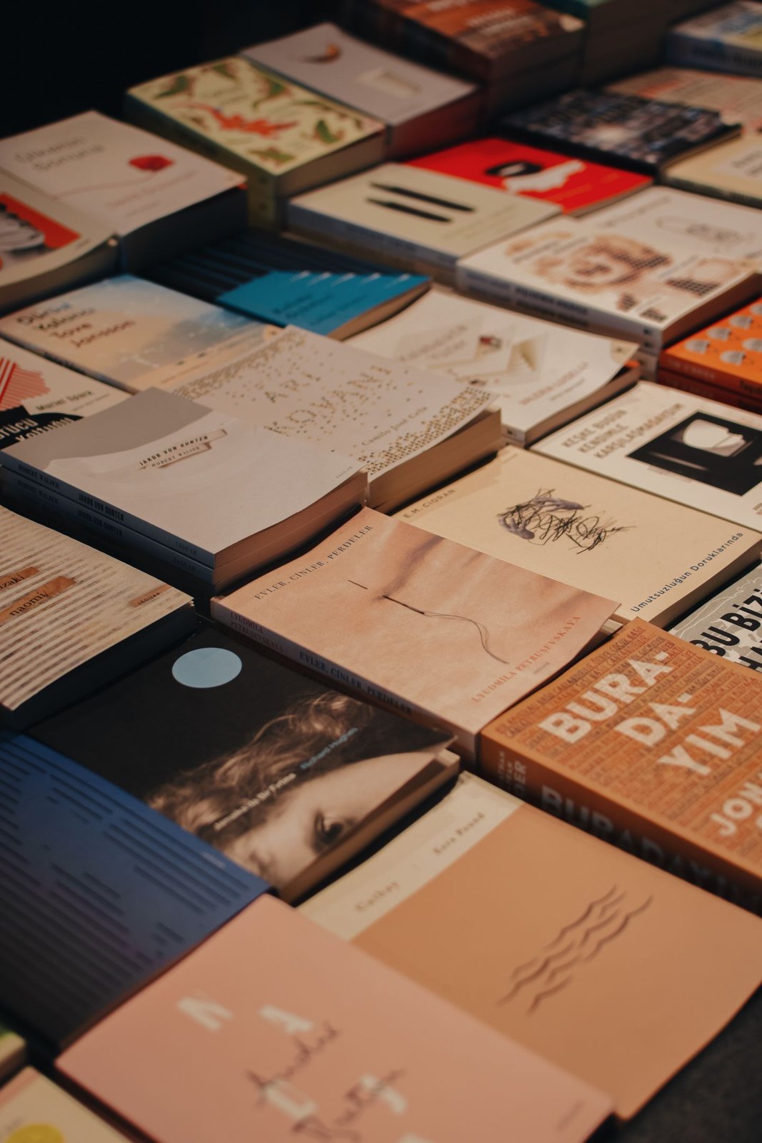 Paperback books arranged on a bookshop display table