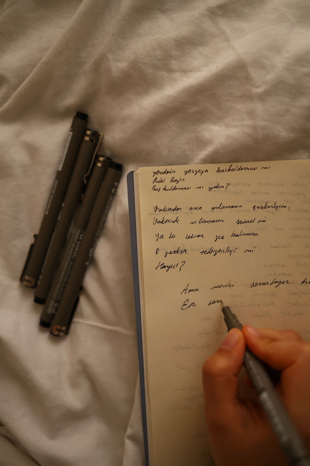 Hand writing in an open journal